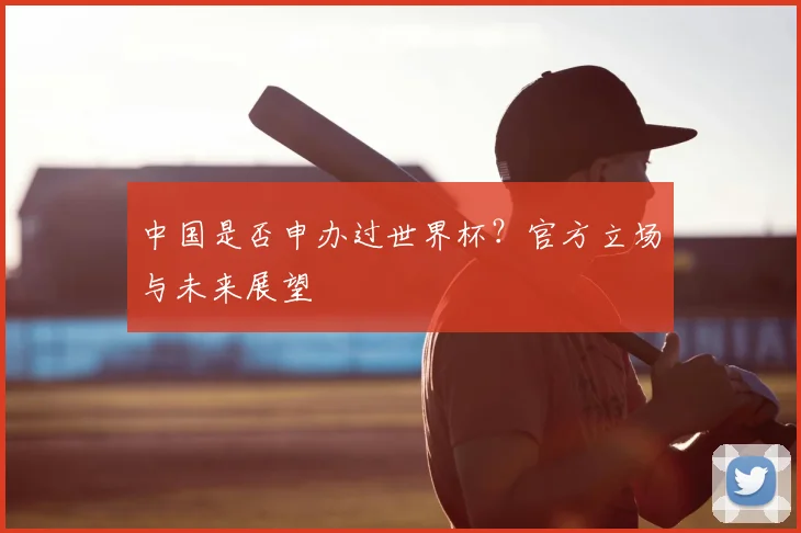 中国是否申办过世界杯？官方立场与未来展望