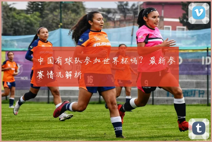 中国有球队参加世界杯吗？最新参赛情况解析