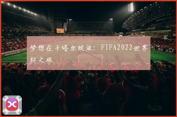 梦想在卡塔尔绽放：FIFA2022世界杯之旅