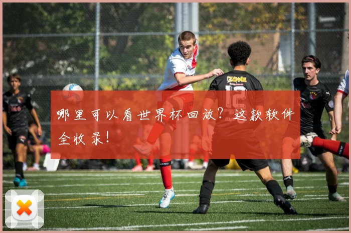 哪里可以看世界杯回放?这款软件全收录!