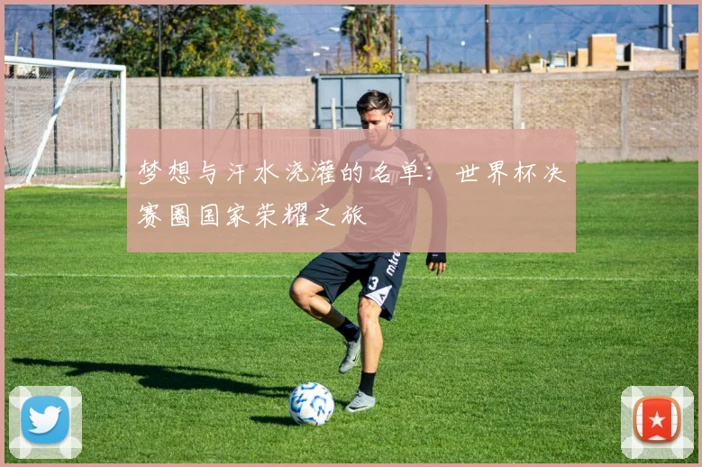 梦想与汗水浇灌的名单：世界杯决赛圈国家荣耀之旅