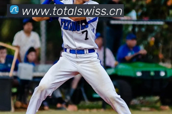 互动解说服务
