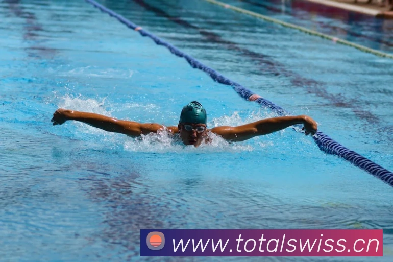 九游下载官网入口APP 封面图